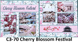 cherry bloss