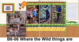 B6-06 Where wild things are  260