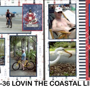 B6-36 Lovin' Coastal life 260
