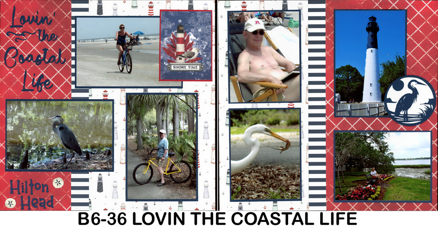 B6-36 Lovin' Coastal life 260