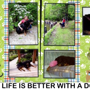 B6-42 Life is better with a Dog 260