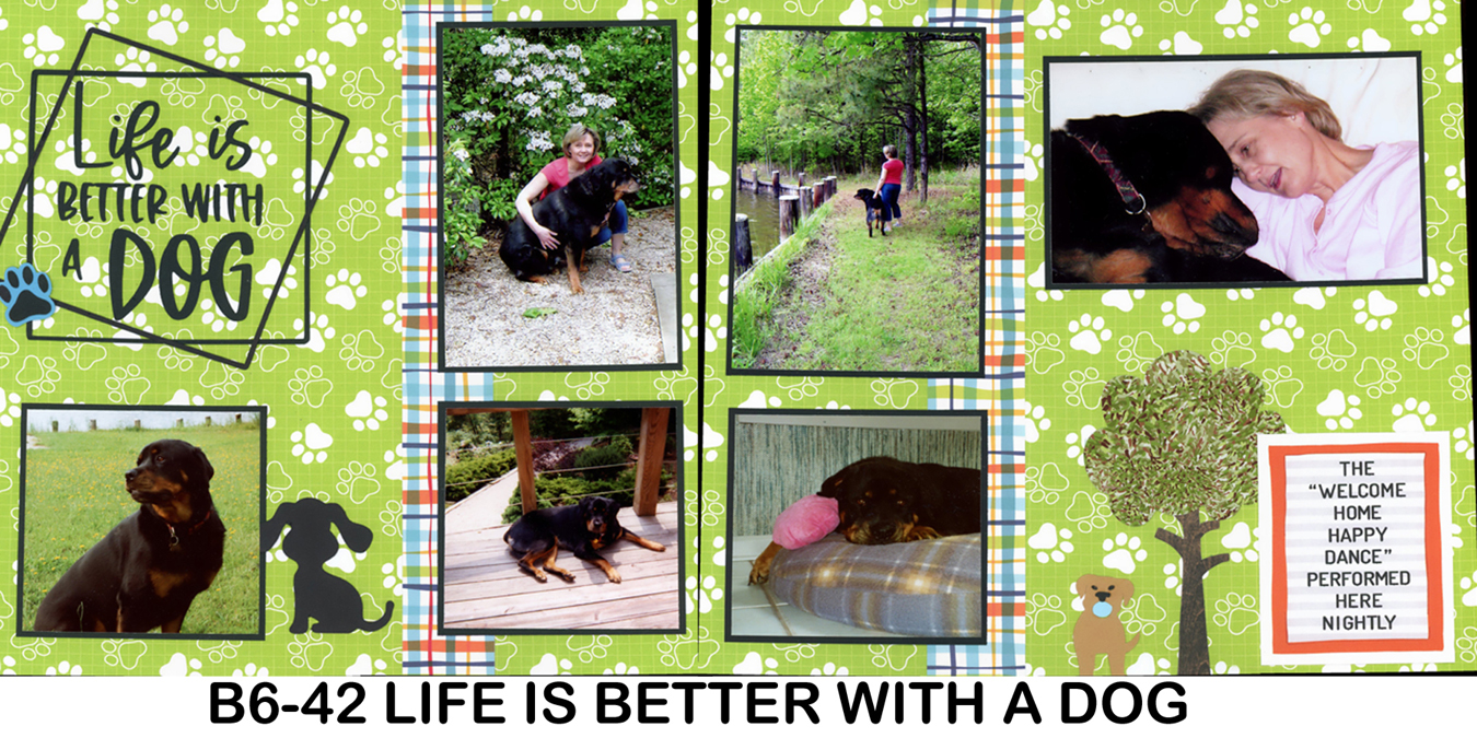 B6-42 Life is better with a Dog 260