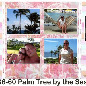 B6-60 need palm - 260