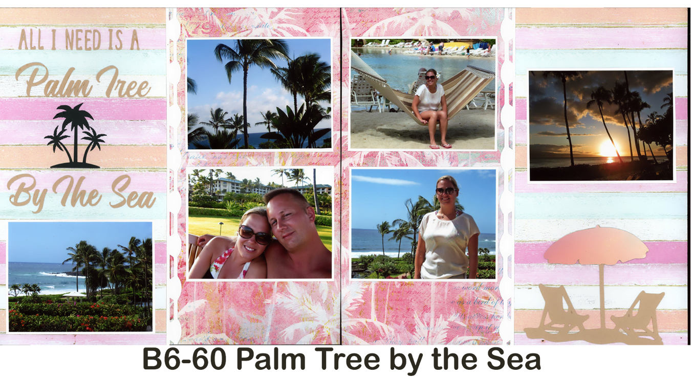 B6-60 need palm - 260