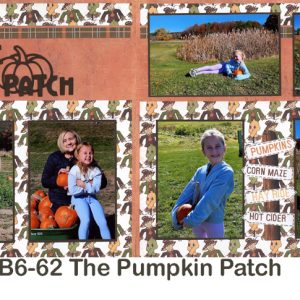 B6-62 The Patch - 260