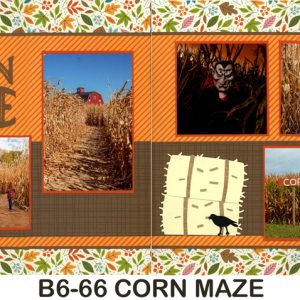 B6-72 Corn Maze - 260
