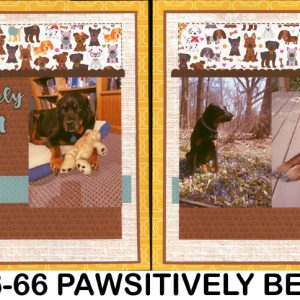 B6-66 Pawsitively 260