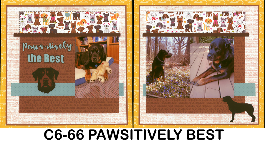 B6-66 Pawsitively 260