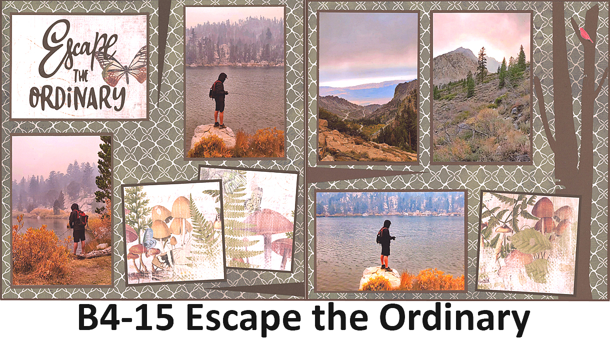 415B Escape the Ordinary