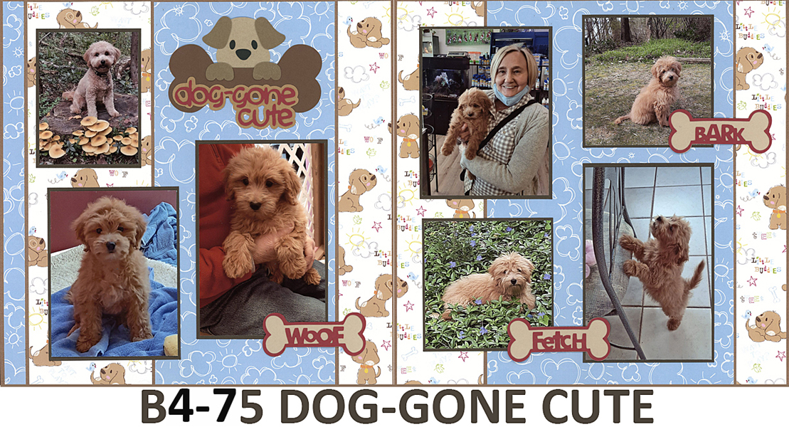 475B Doggone cute