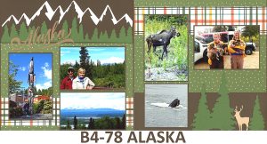 478B Alaska
