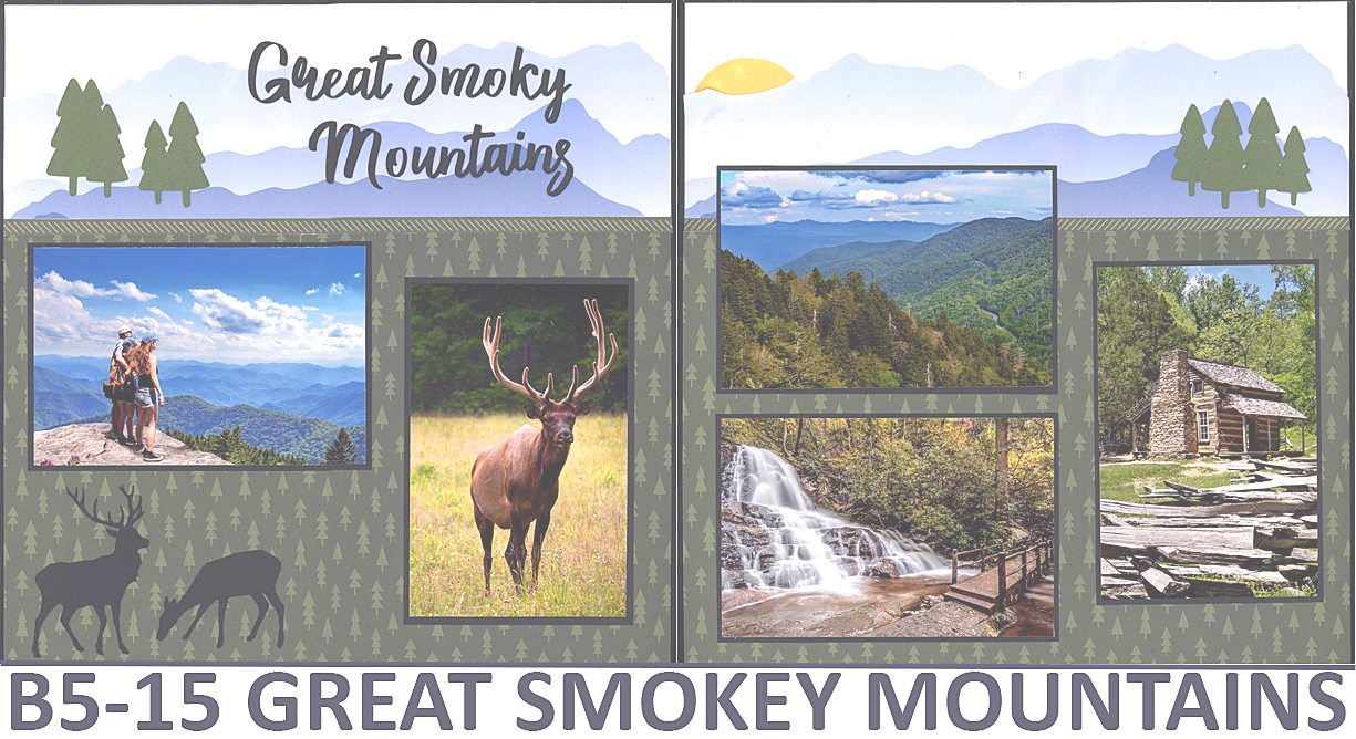 515B Great Smoky Mountains