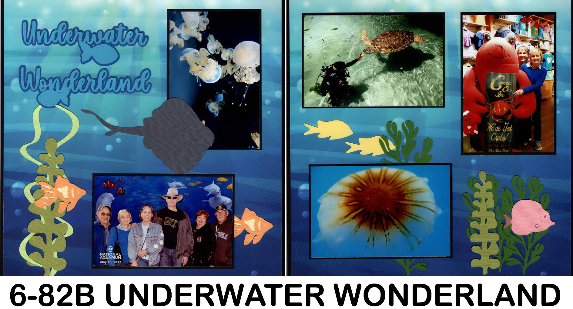 682B Underwater Wonderland