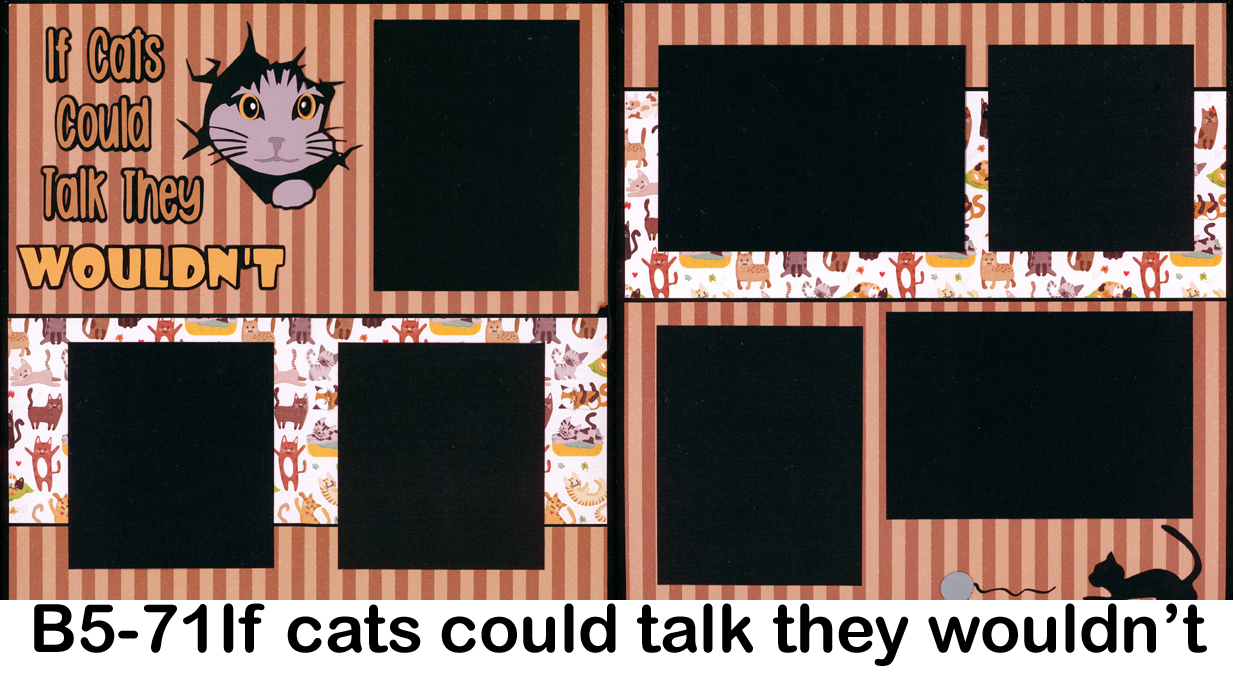 571B Cats Wouldn't talk