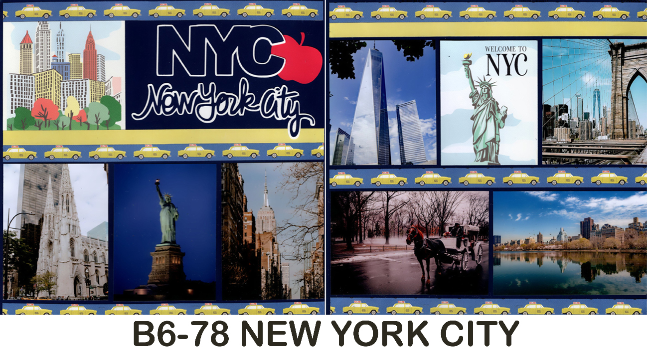 678B New York City