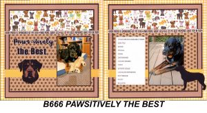 666B Pawsitively