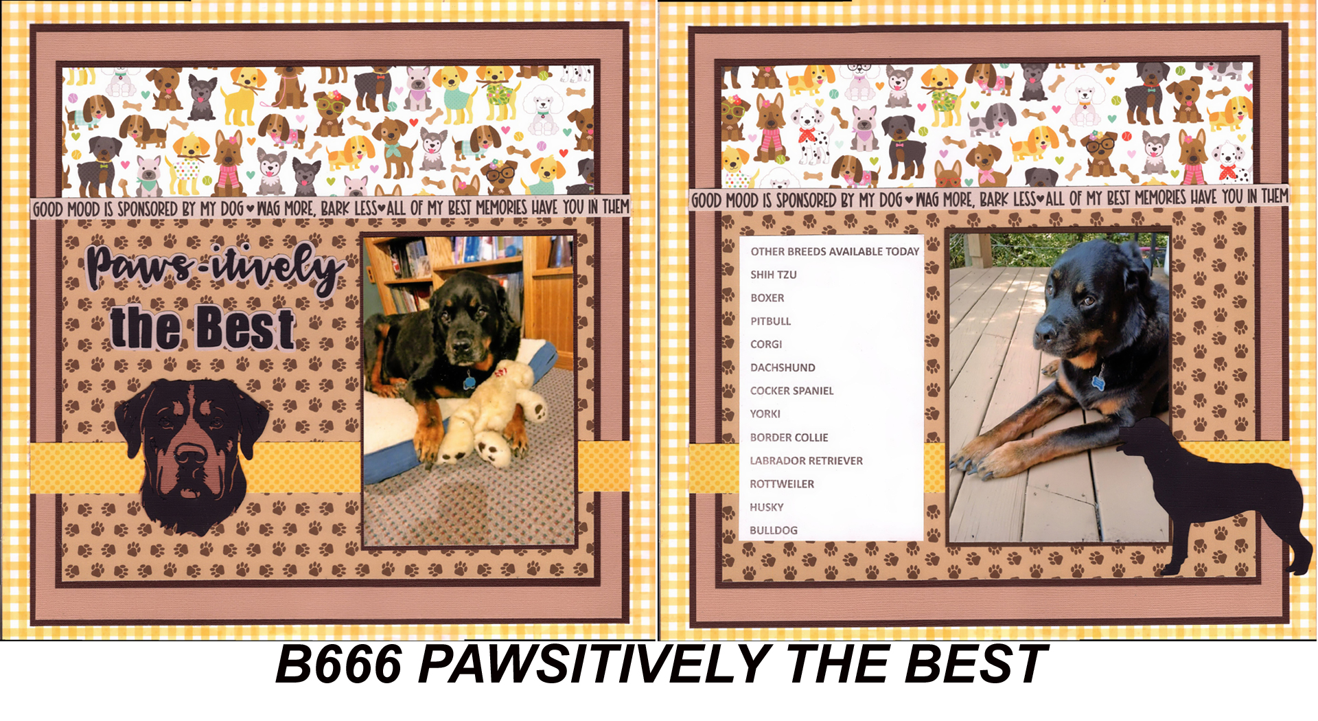666B Pawsitively