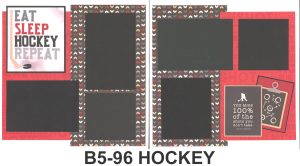 594B Ice Hockey