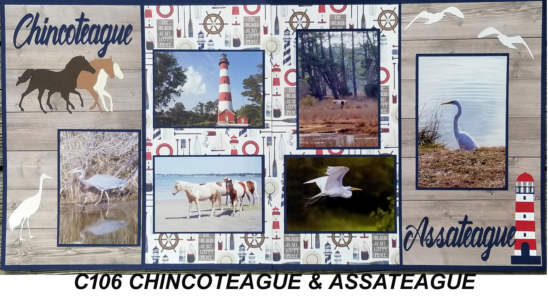 106C CHINCOTEAGUE & ASSATEAGUE