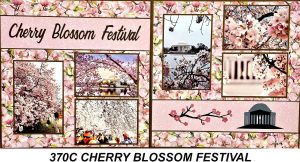 370 Cherry Blossom Festival