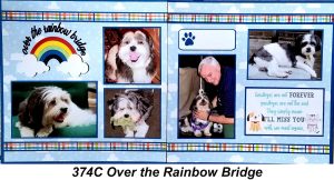 374C Over the Rainbow Bridge