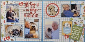 435C - THE DOG IS IN CHARGE