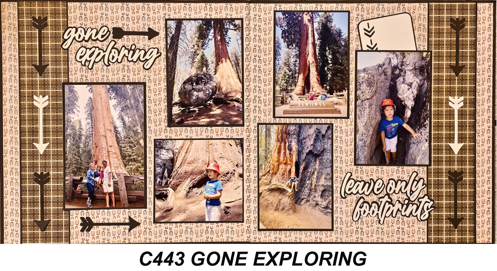 443C GONE EXPLORING