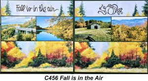 456C FALL IS IN THE AIR