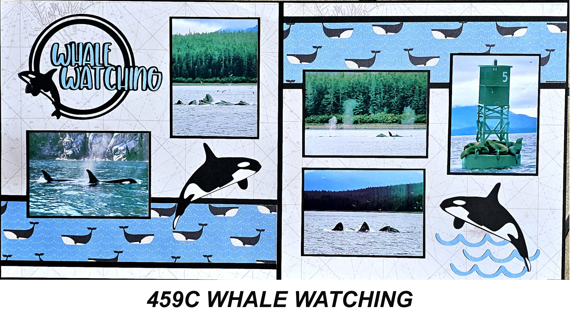 459C WHALE WATCHING