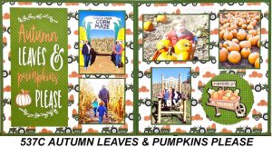 537C  AUTUMN LEAVES & PUMPKINS