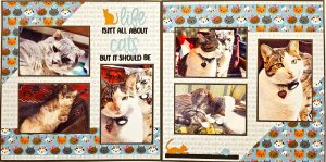 647C LIFE ISN'T ALL ABOUT CATS