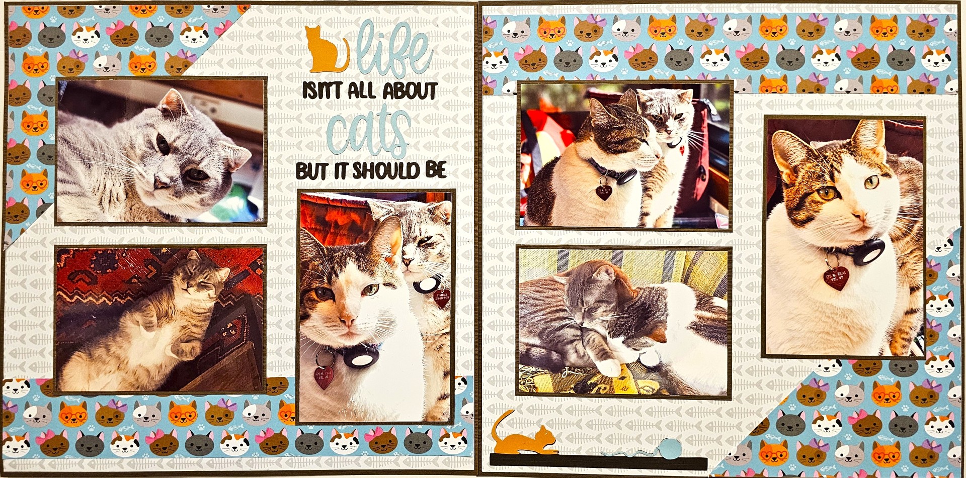 647C LIFE ISN'T ALL ABOUT CATS
