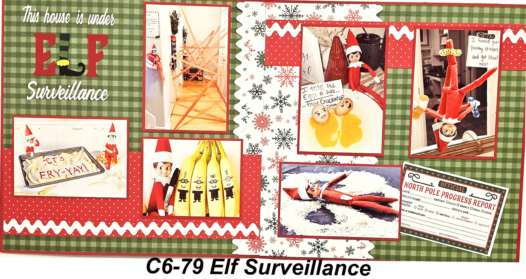 679C ELF ON SHELF
