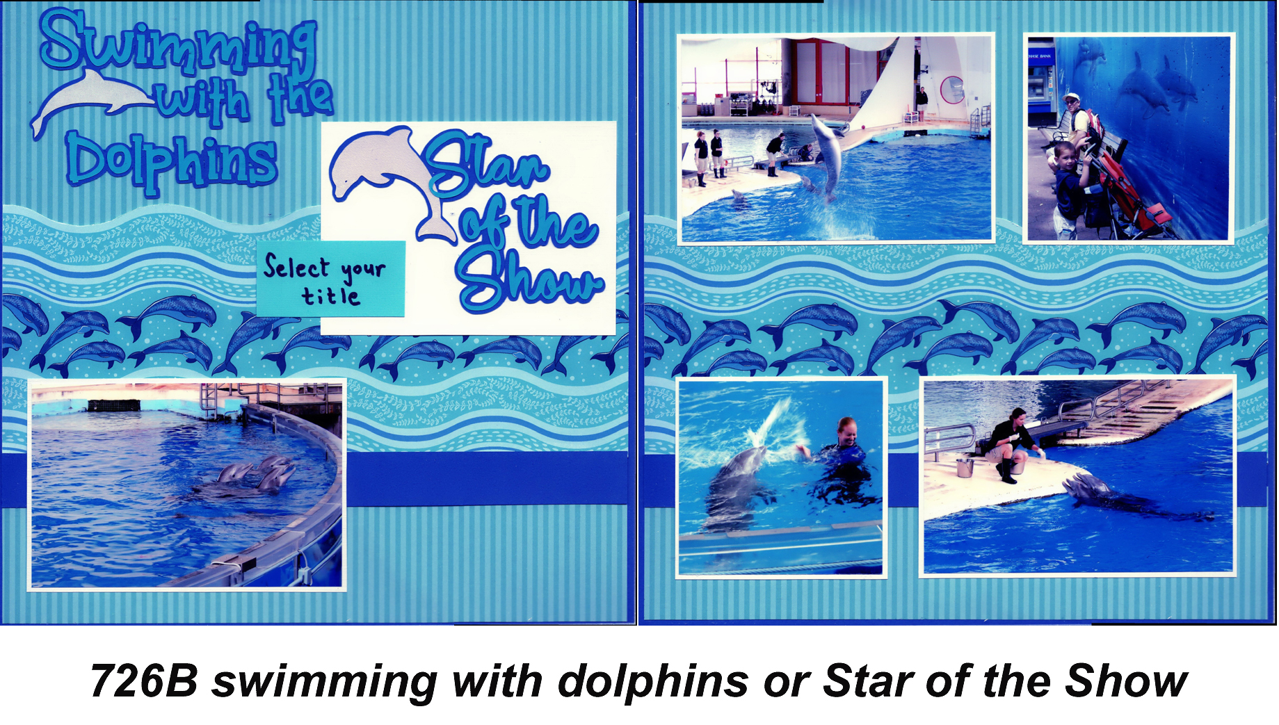 726B Dolphins