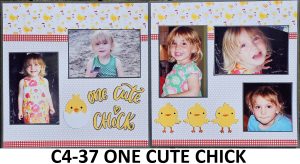 437C  ONE CUTE CHICK