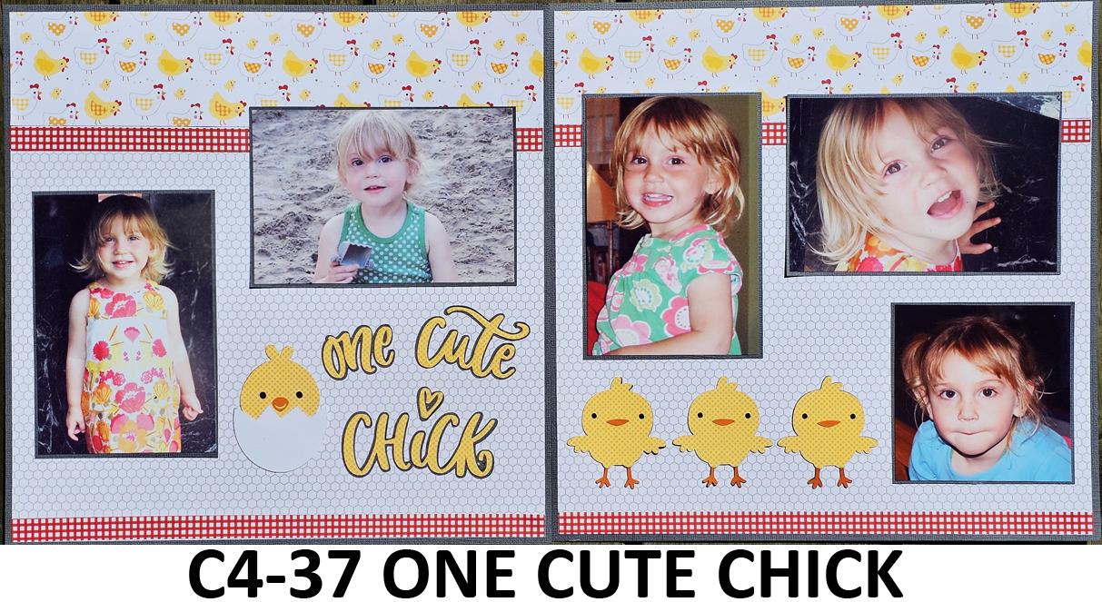 437C  ONE CUTE CHICK