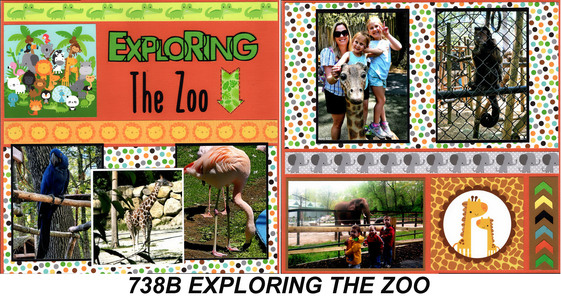 738B EXPLAINING THE ZOO