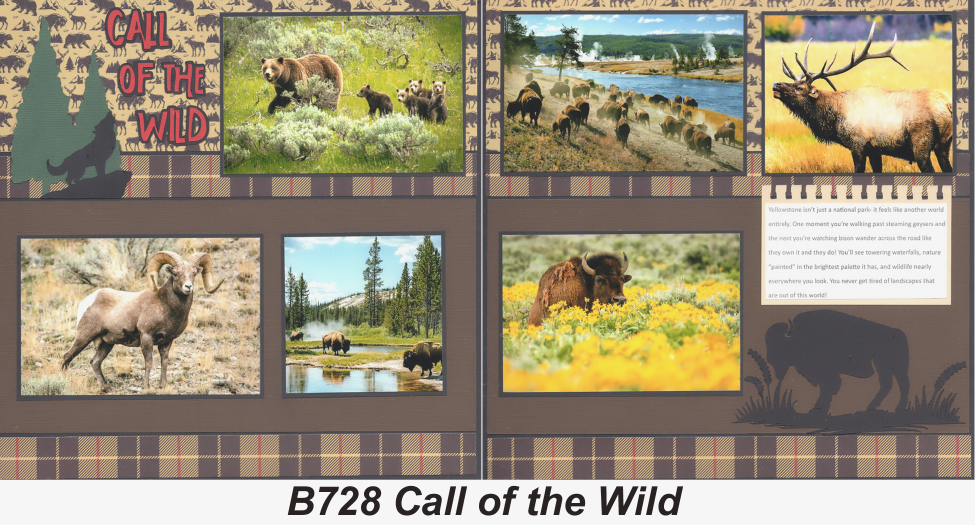 B728 Call of the Wild