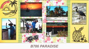 B786 PARADISE