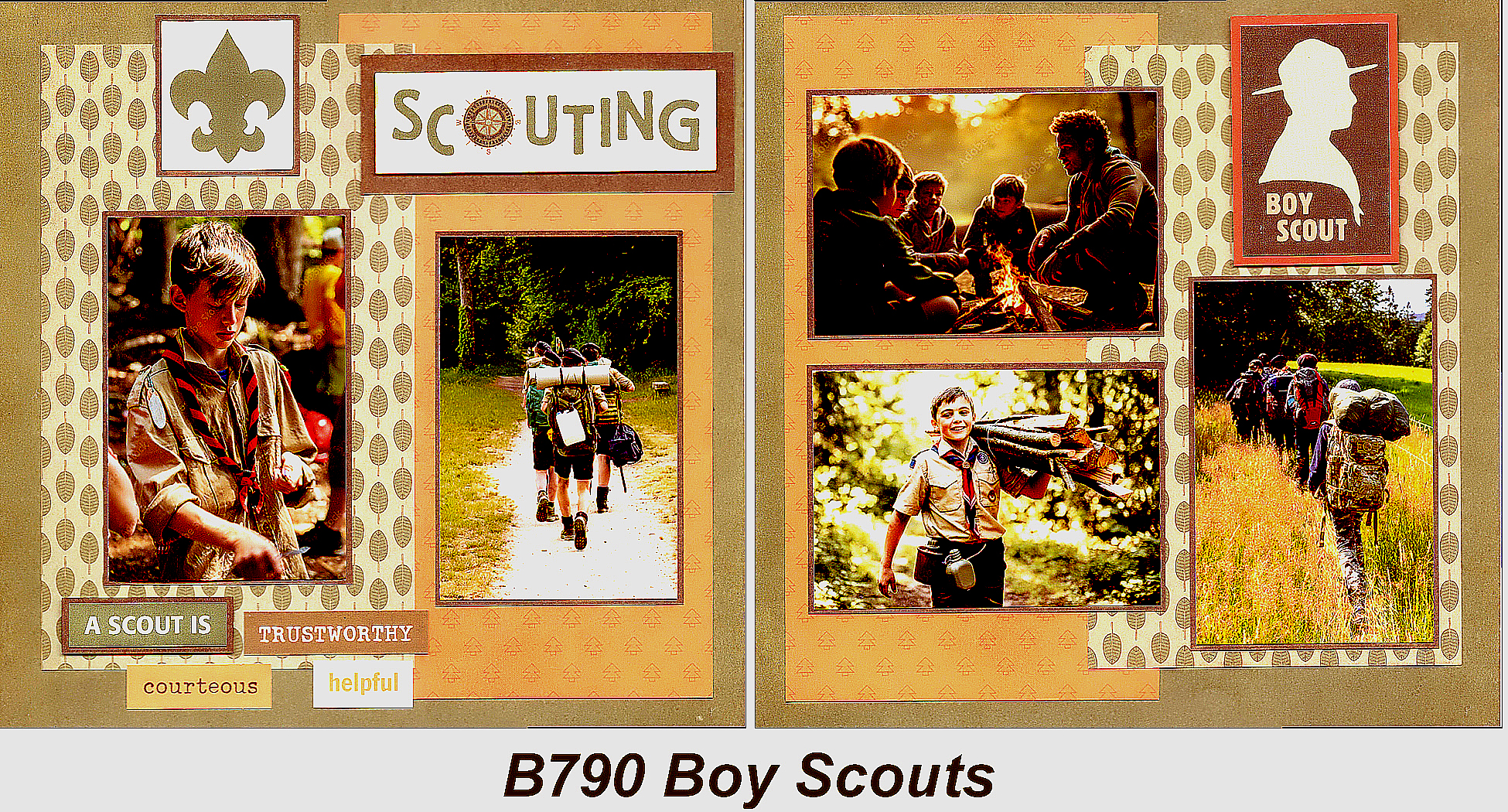B790 BOY SCOUTS
