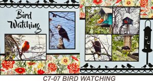 C707 BIRD WATCHING