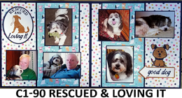 C190 RESCUE PETS