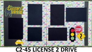 C245 LICENSE TO DRIVE