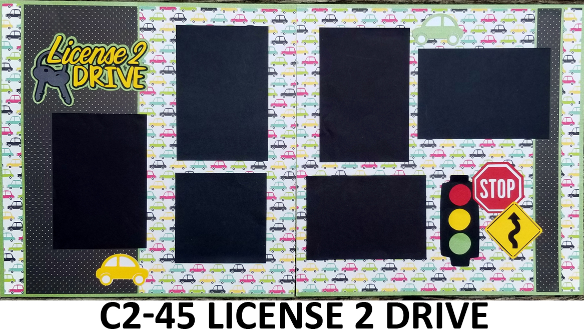 C245 LICENSE TO DRIVE