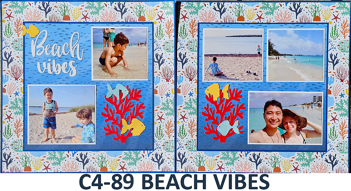 C489 BEACH VIBES