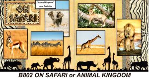 B802 ON SAFARI / ANIMAL KINGDOM