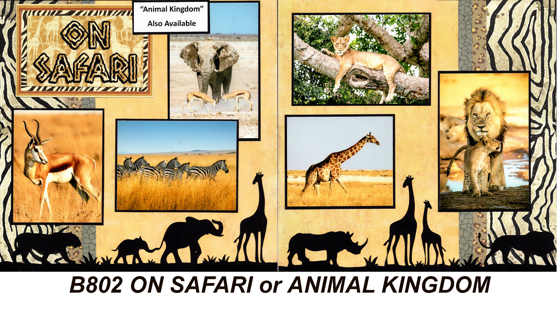 B802 ON SAFARI / ANIMAL KINGDOM